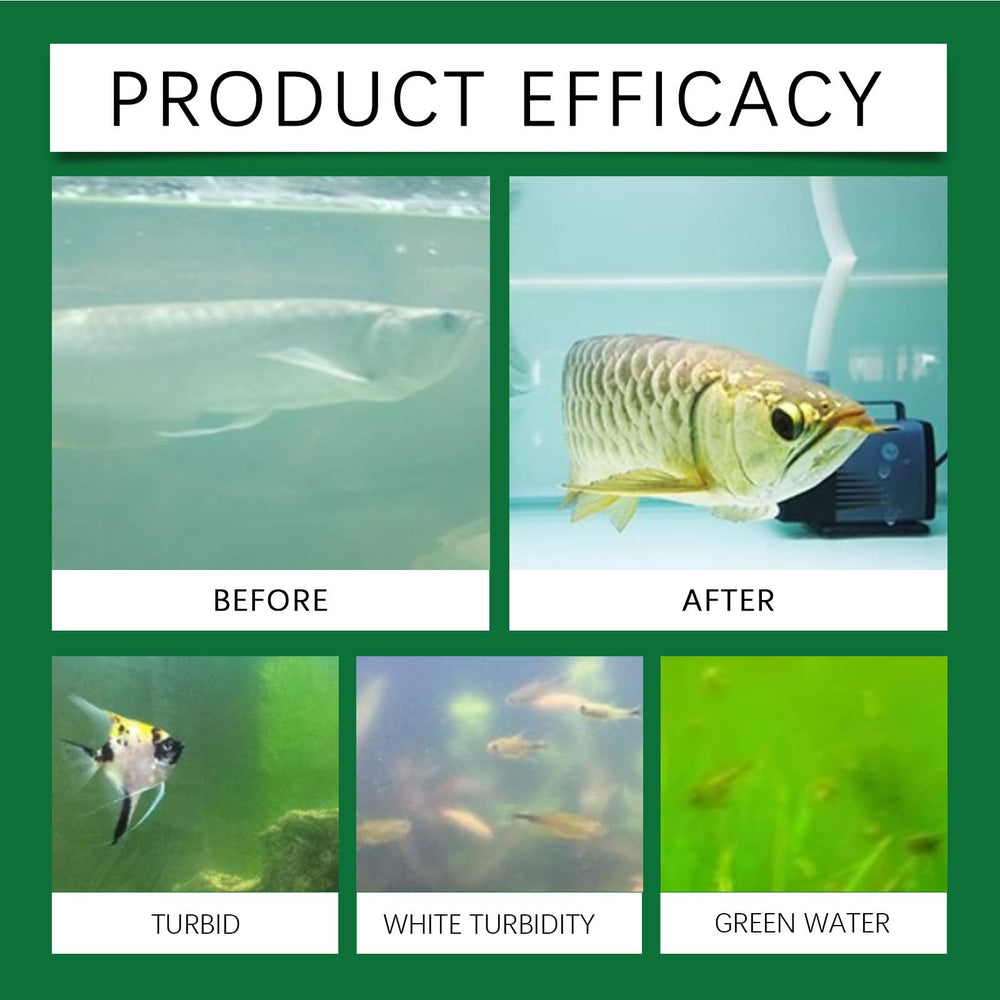 Nearby fish swimming healthily after treatment with Steriqotu water purification tablets.