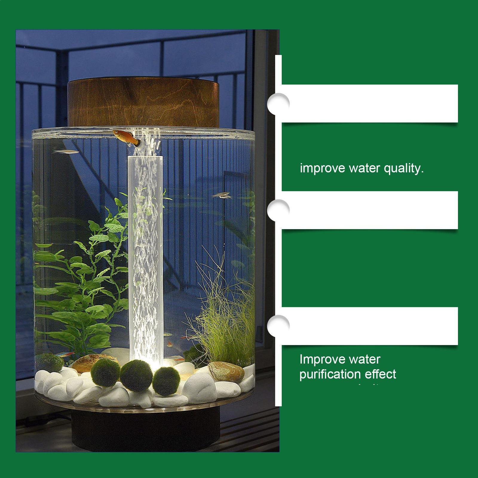 Tank with visibly clearer water after using Steriqotu tablets.