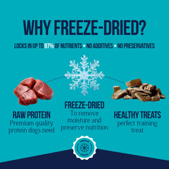 Freeze-dried beef liver by Stewart preserves nutrients with light crunch for snacking