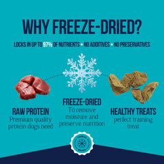 Stewart single-ingredient dog treats suitable for sensitive diets