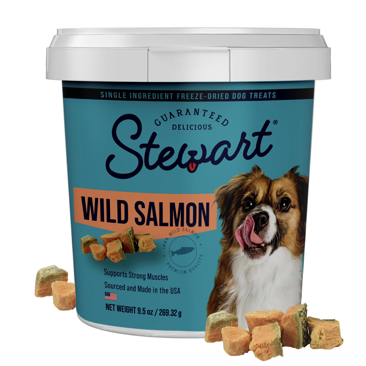Stewart wild salmon treats in a resealable tub for easy rewards