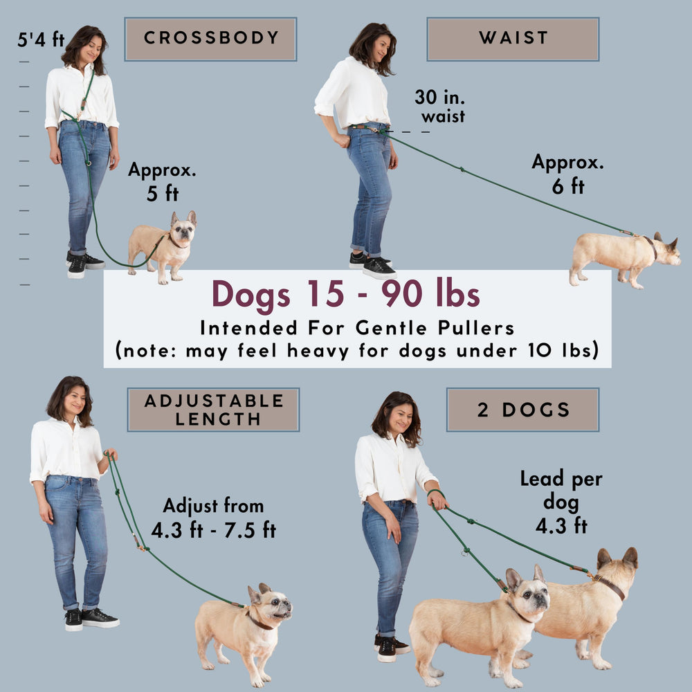 Sticks N' Bones Co dual handle leash provides extra control