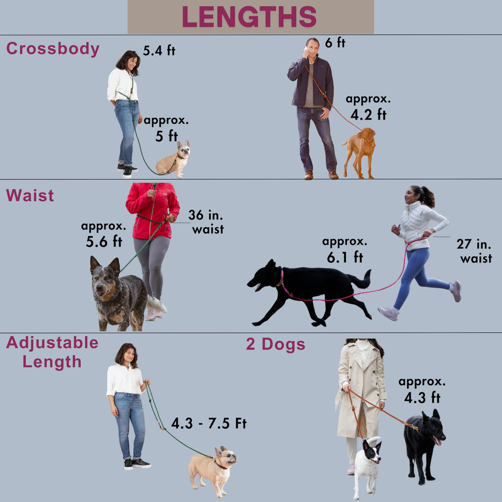 Sticks N' Bones Co pink multifunctional leash for walks and training