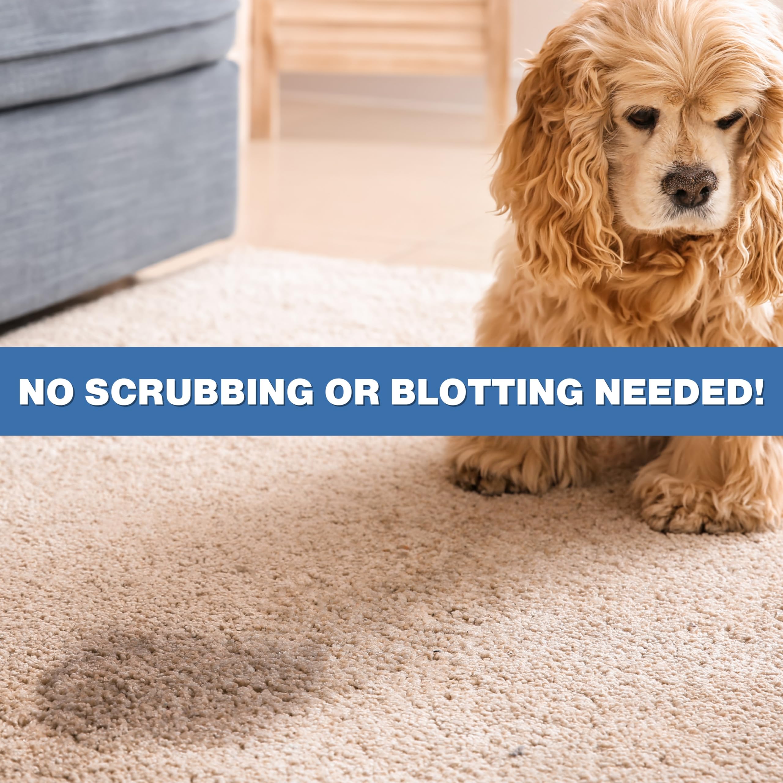 Stink Free cat-dog urine stain removal on rug shows visible improvement
