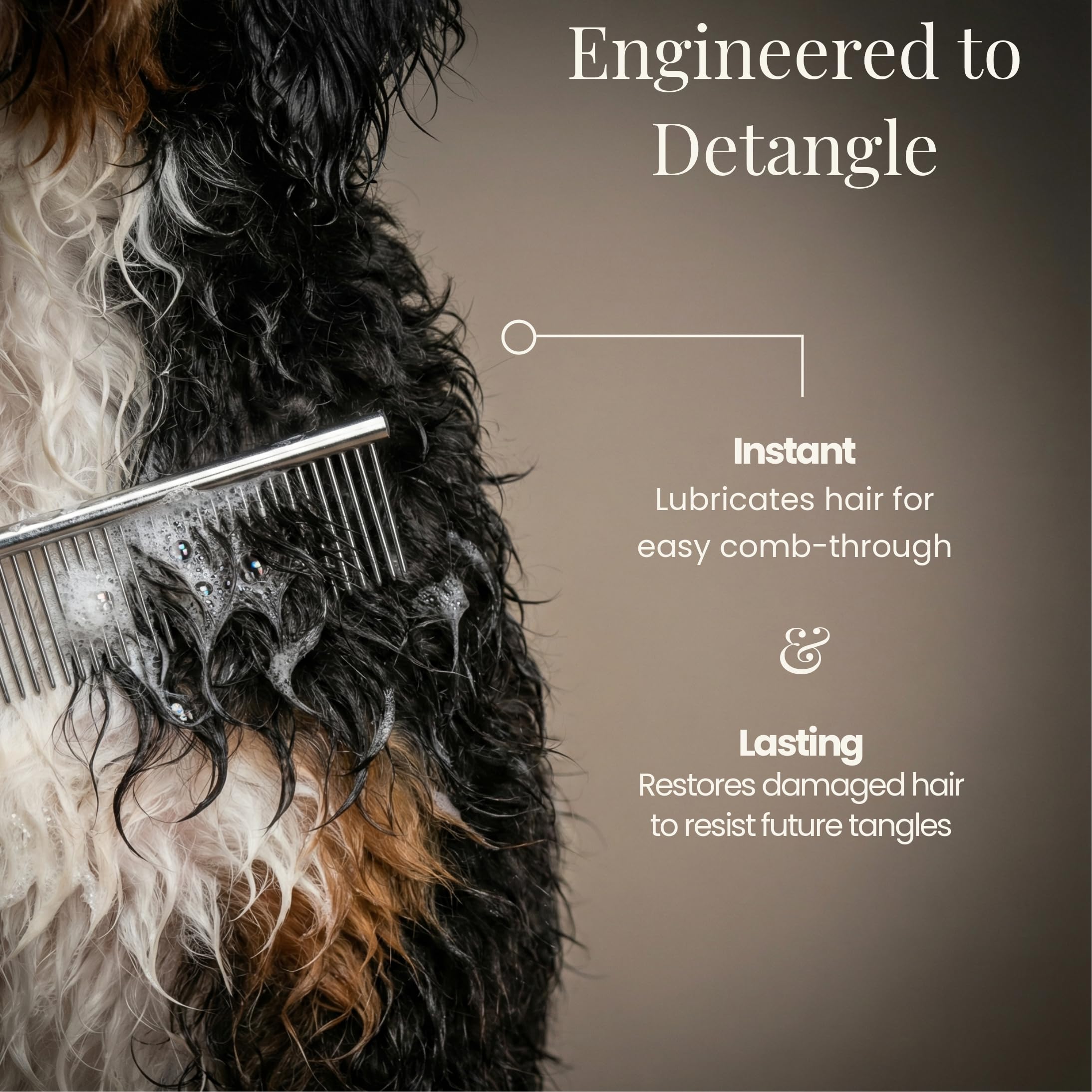 Stonepaw Doodle Shampoo applying moisture to a curly doodle coat.