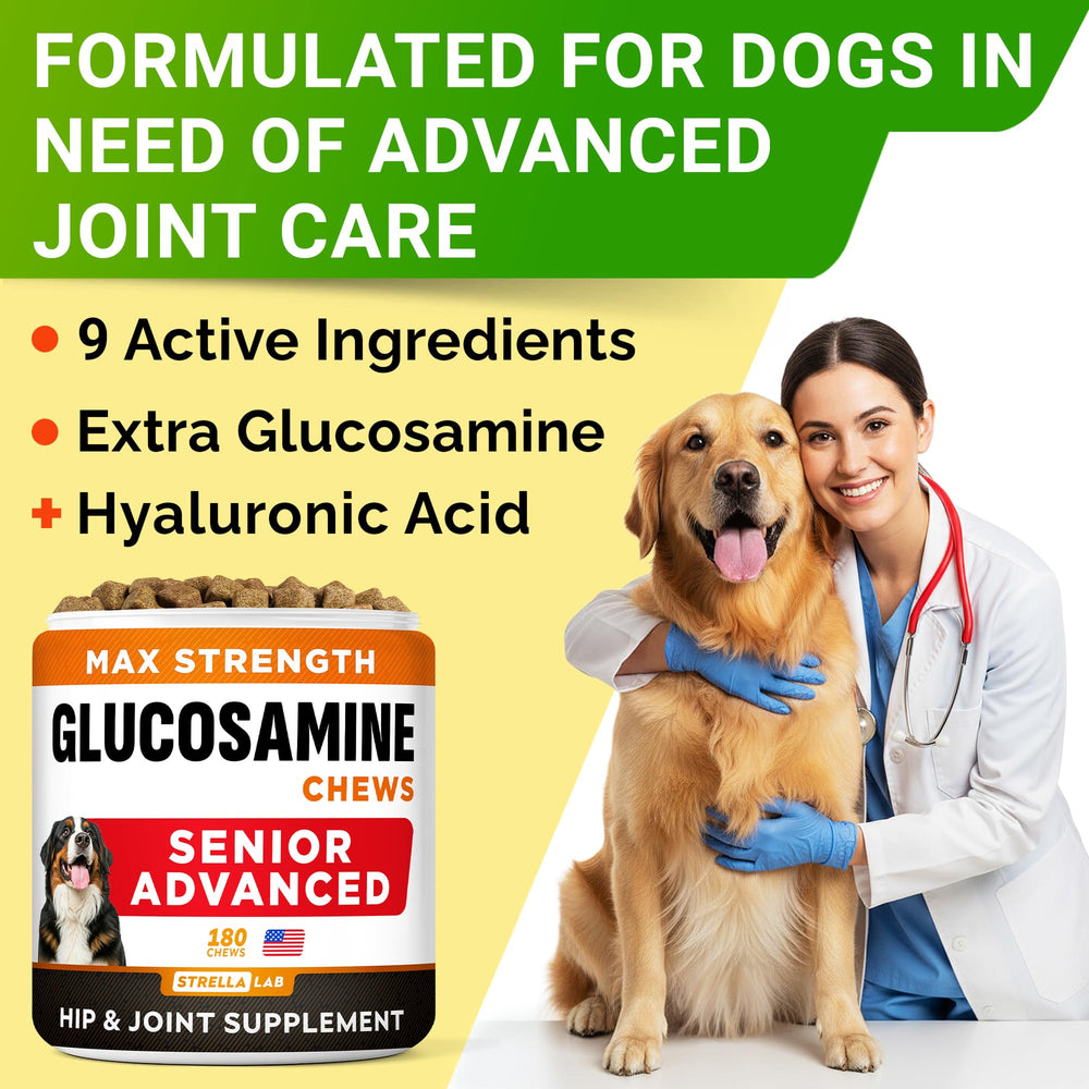 STRELLALAB 180-count dog joint supplement tub for households