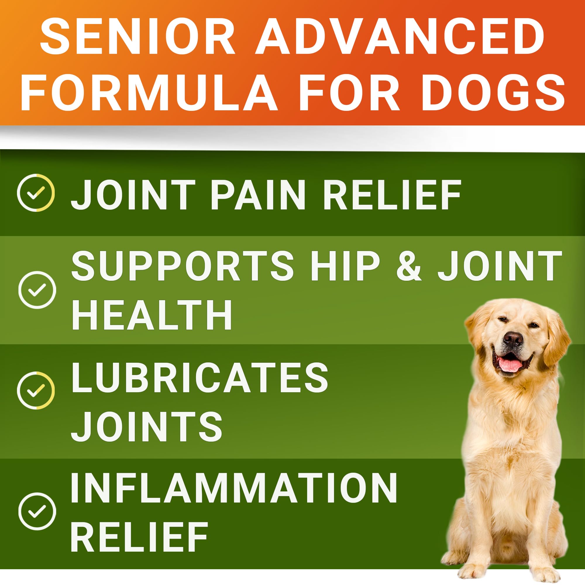 240-count STRELLALAB packaging image emphasizes value pack for long-term care.
