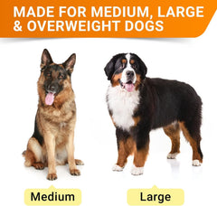 STRELLALAB 360-chews value pack for large and multi-pet homes