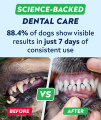 STRELLALAB chews with fresh-breath focus in a pet owner scene.