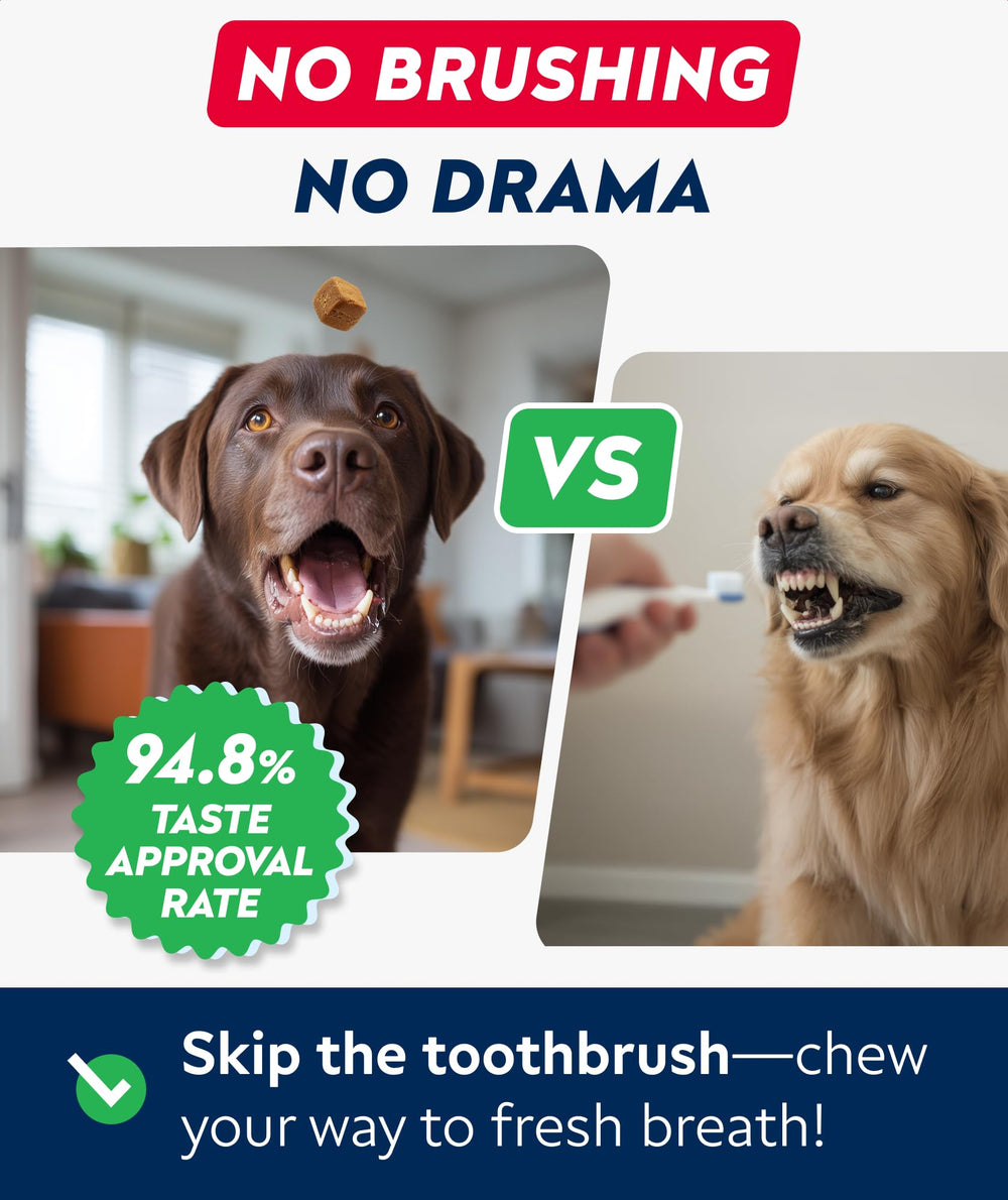 STRELLALAB bottle on shelf communicates comprehensive oral care for dogs.