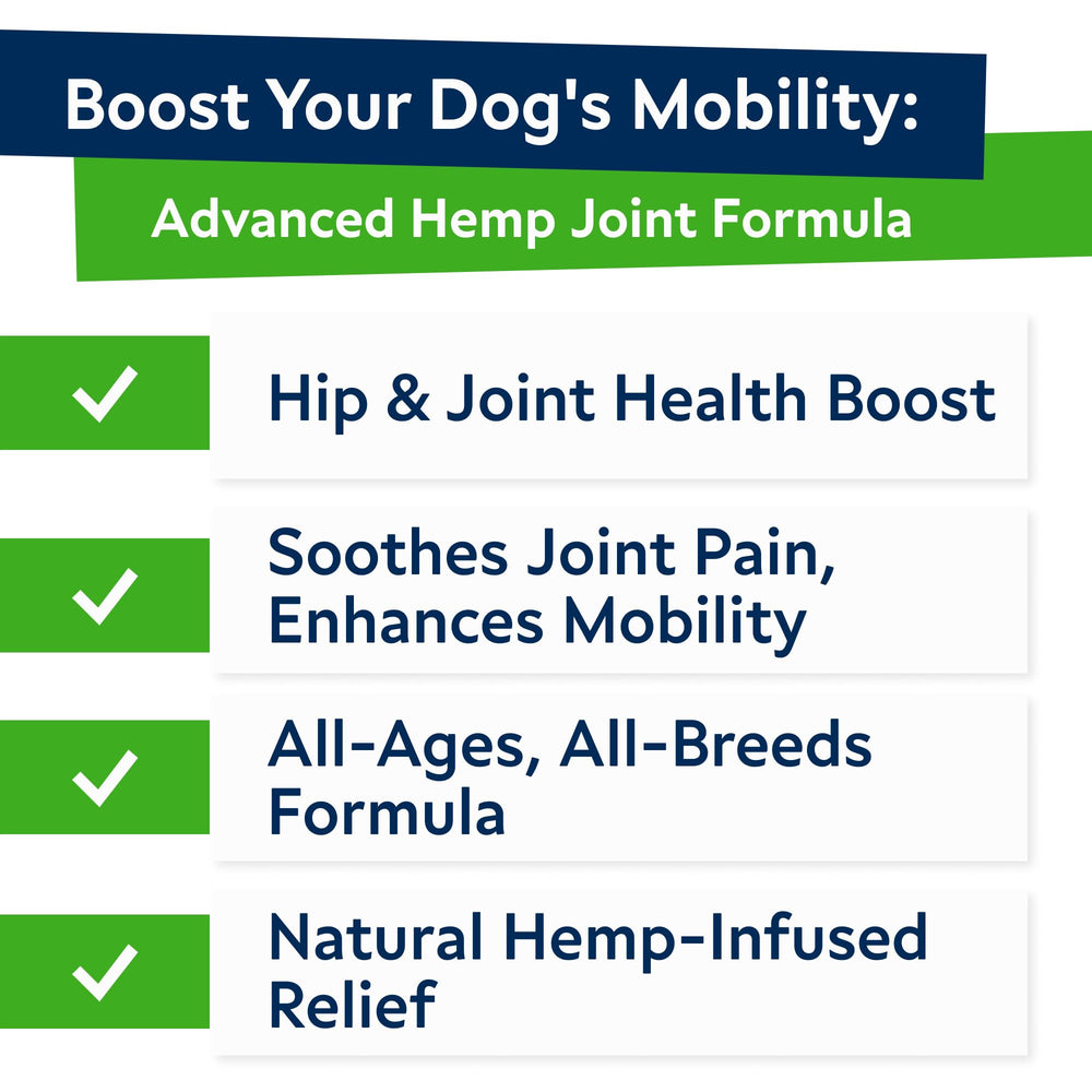 Close-up of STRELLALAB hemp glucosamine chews texture emphasizing palatability