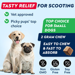 STRELLALAB Anal Gland Chews closeup texture, highlights pumpkin and psyllium for gentle digestion.