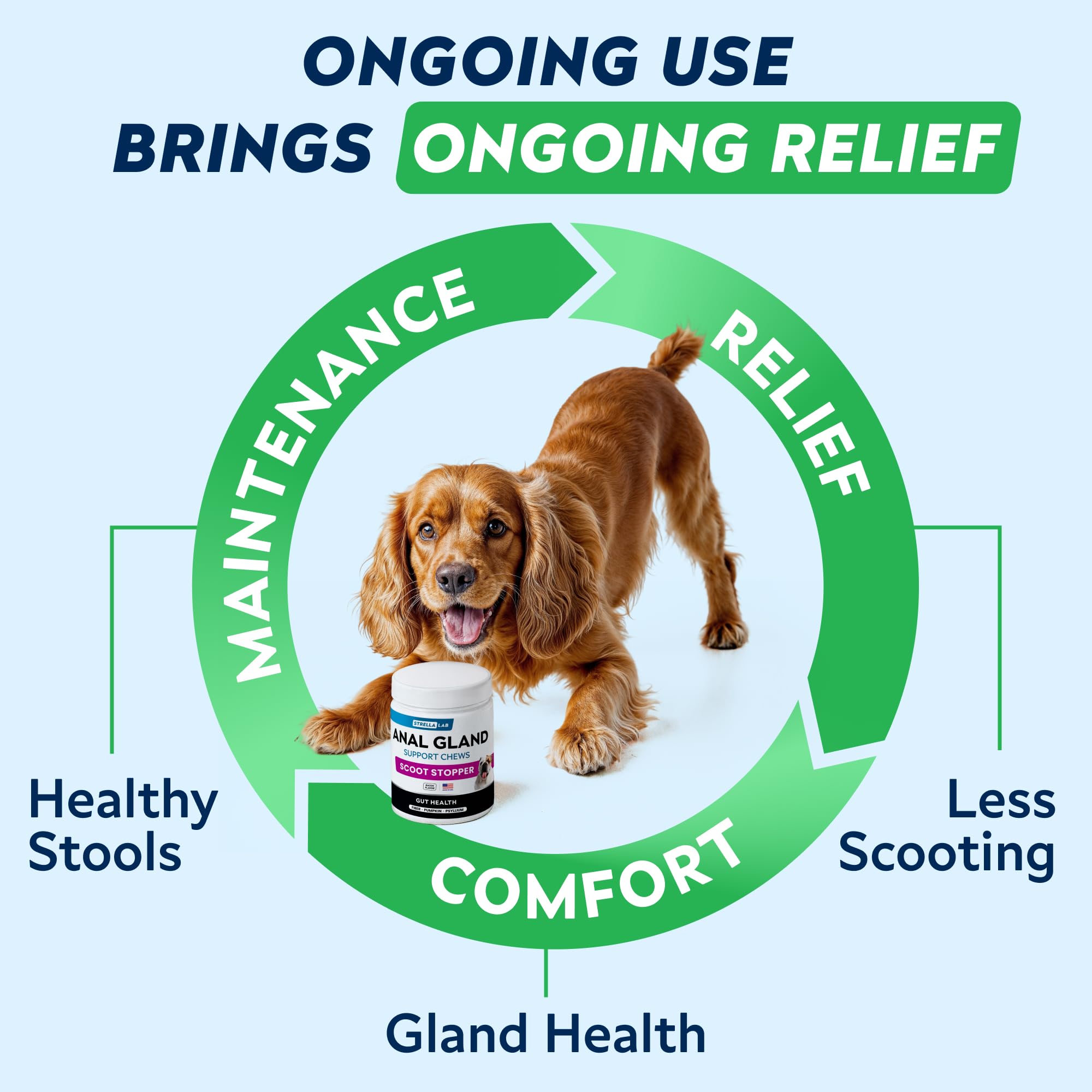 STRELLALAB Anal Gland Chews dandelion root visible, aiding natural gut balance.