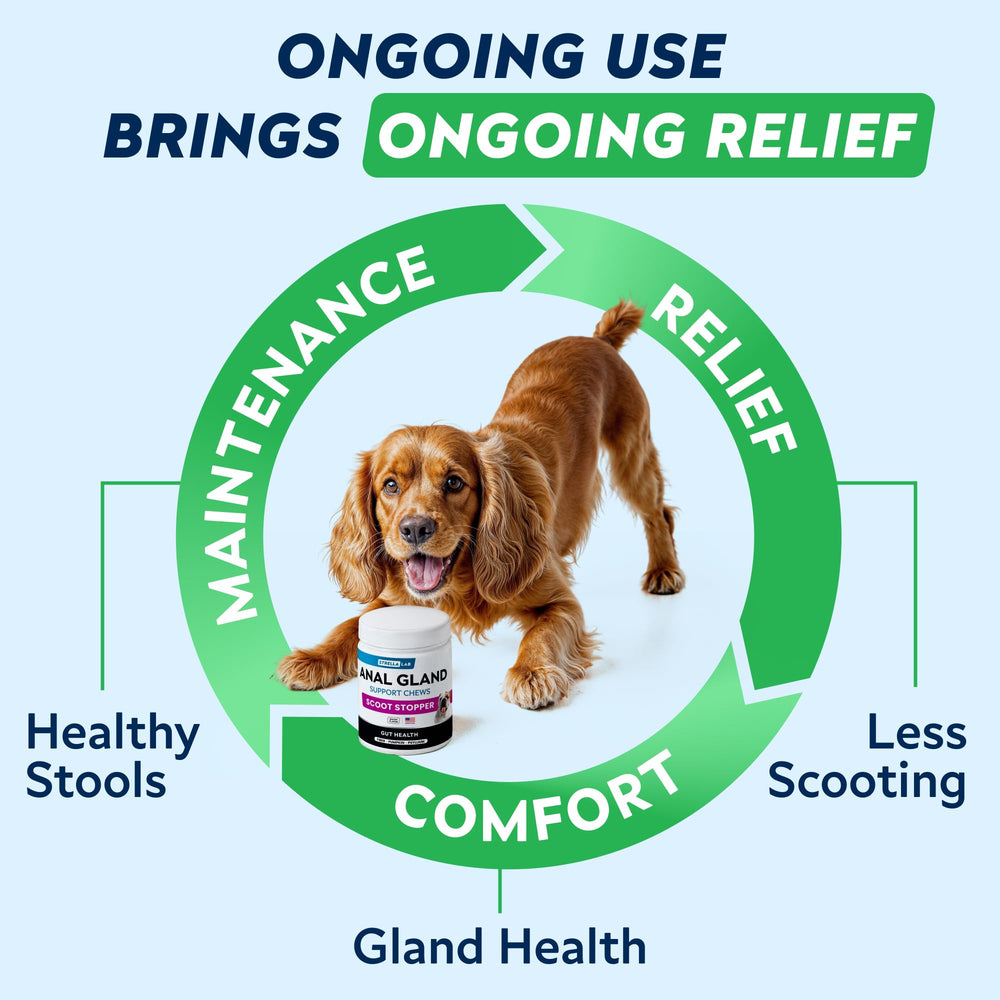 STRELLALAB Anal Gland Chews dandelion root visible, aiding natural gut balance.