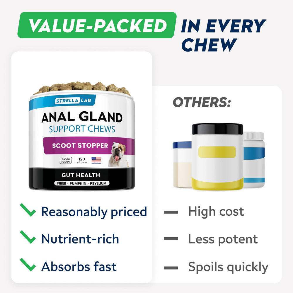 STRELLALAB Anal Gland Chews dog with bowl suggesting everyday use.