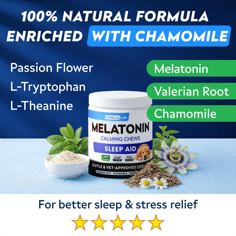 STRELLALAB calming chews USA-made provide a gentle nightly routine for dogs.