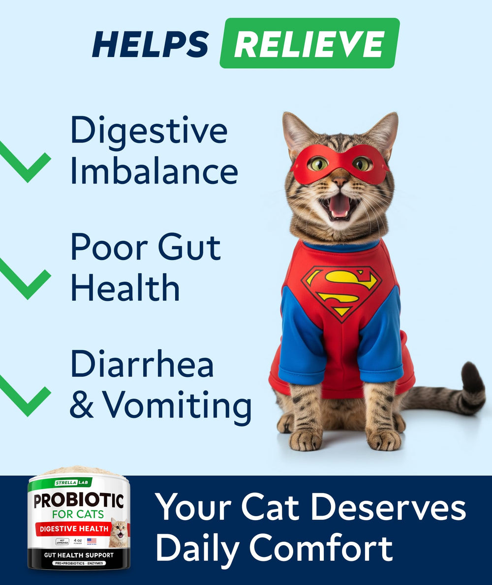 StrellaLab Cat Probiotic Powder sprinkled on kibble to support gut comfort.