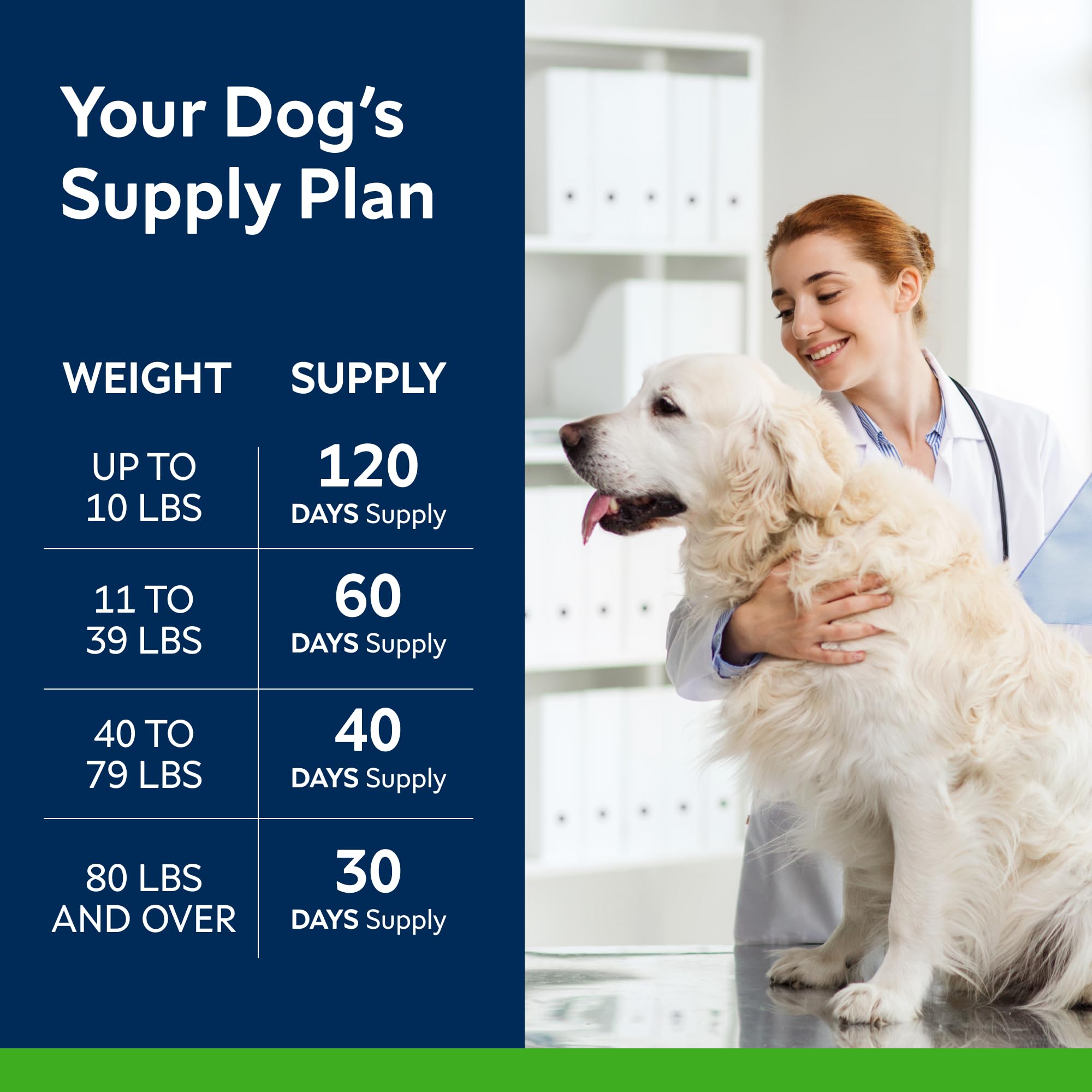 STRELLALAB daily-use dog joint supplement concept