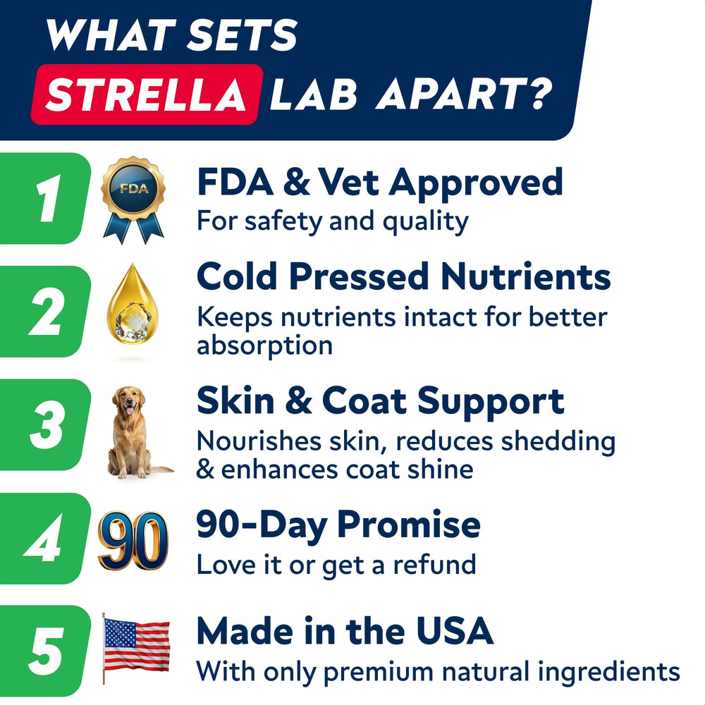 StrellaLab delicious-flavor dog chews encouraged during daily routine.