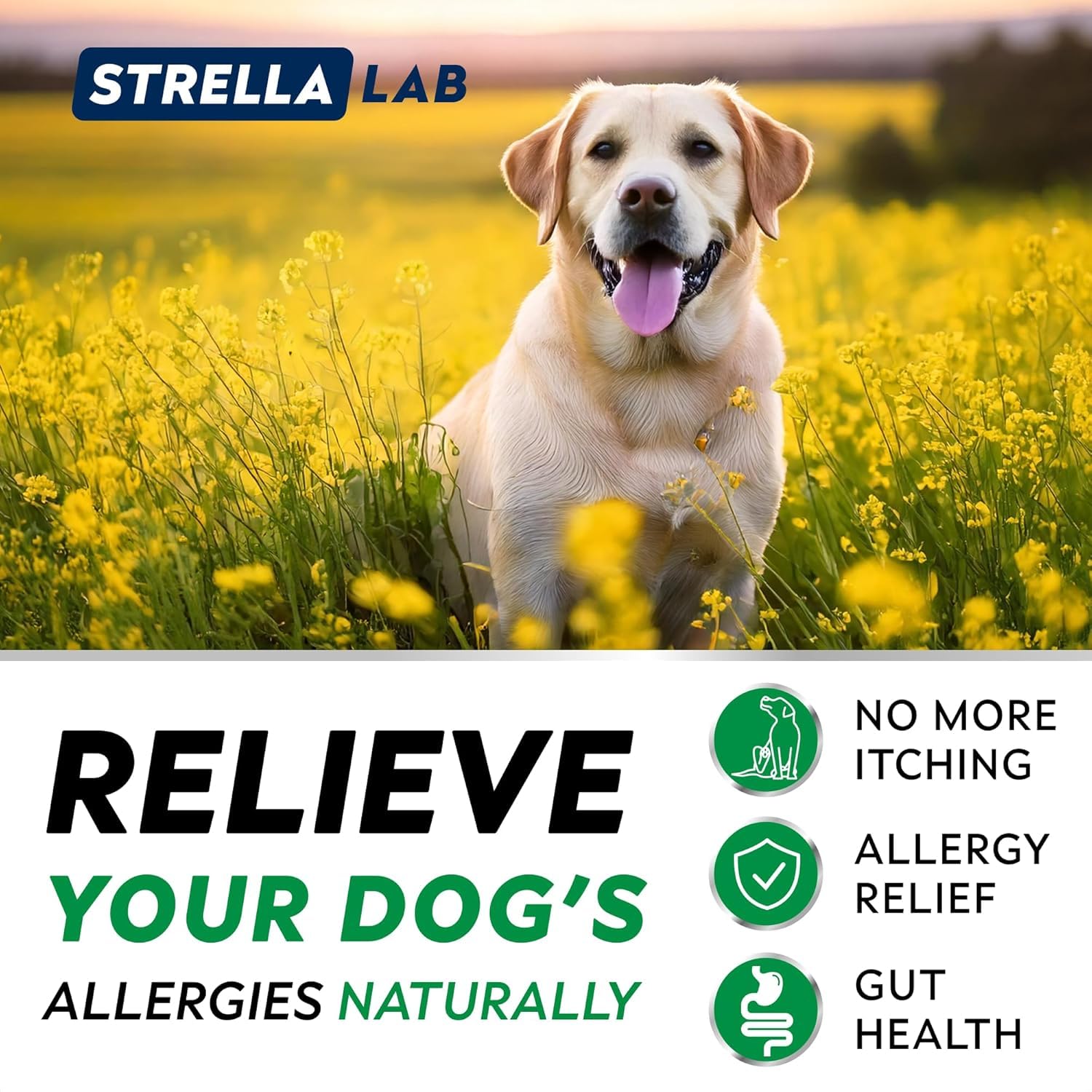 STRELLALAB dog allergy chews omega-3-fish-oil nourishes skin and coat