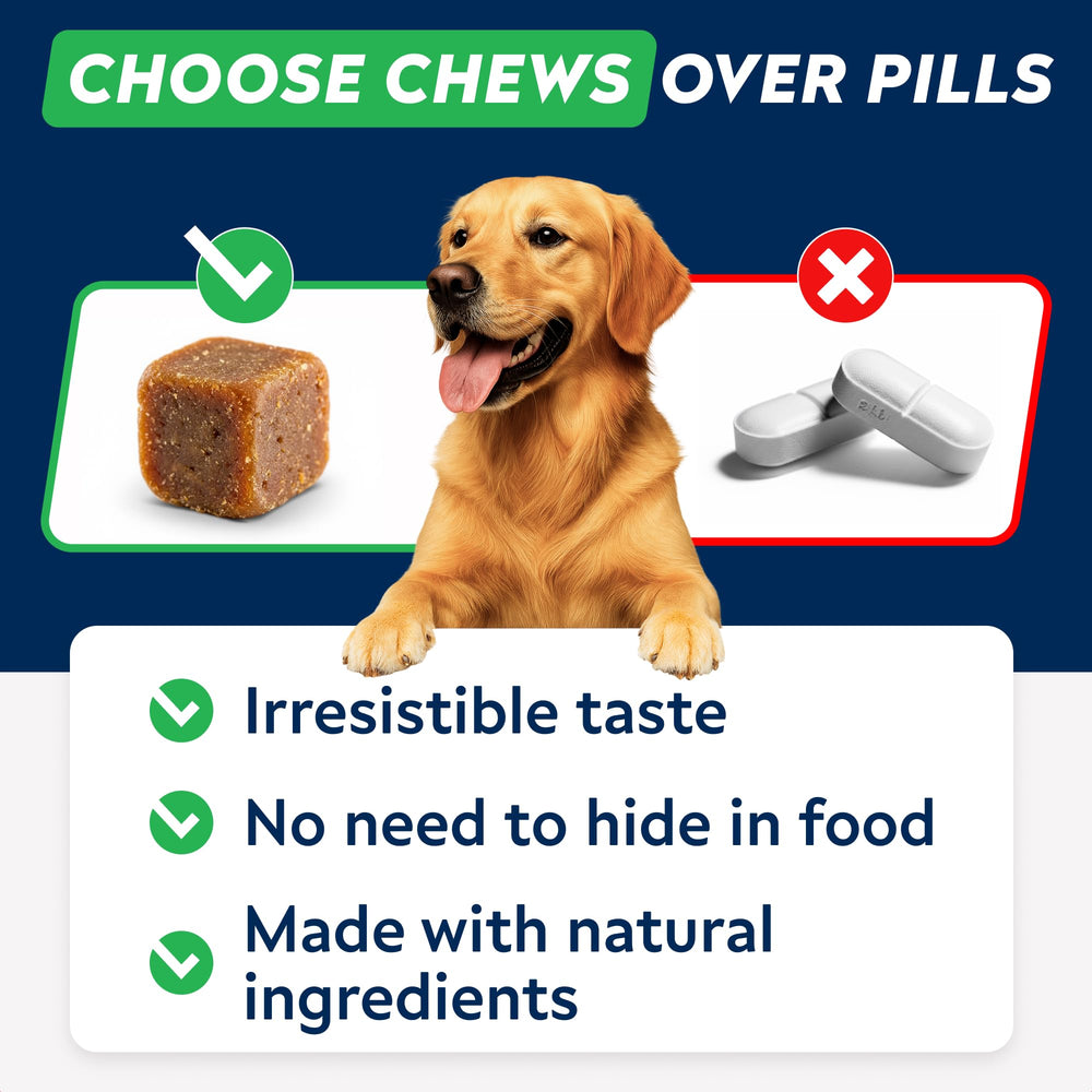 Made in USA badge with STRELLALAB chews.