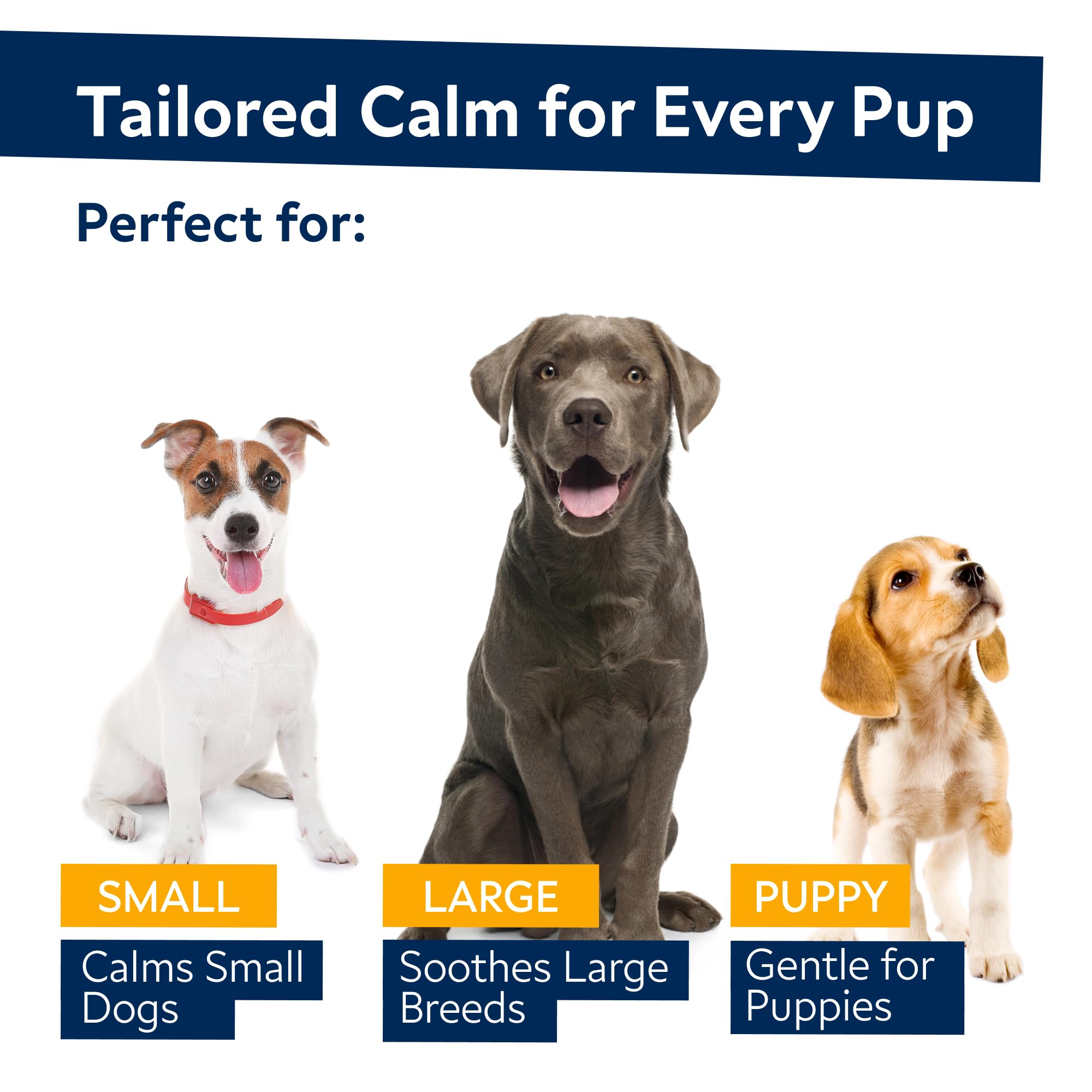 STRELLALAB hemp calming chews soft-treat pack ready to serve