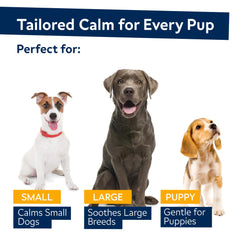 STRELLALAB hemp calming chews soft-treat pack ready to serve