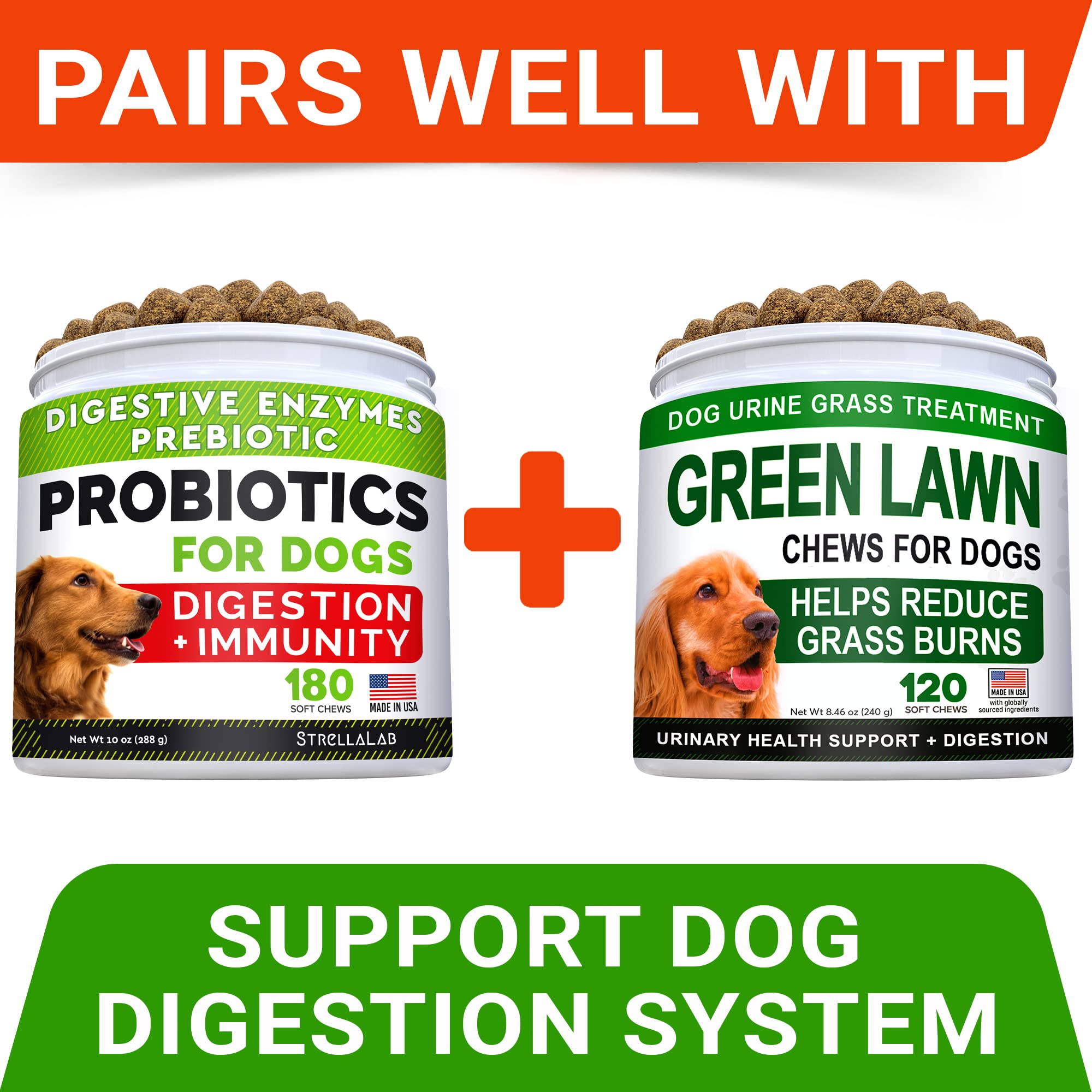 STRELLALAB chews enable dogs to enjoy outdoor play on lush grass