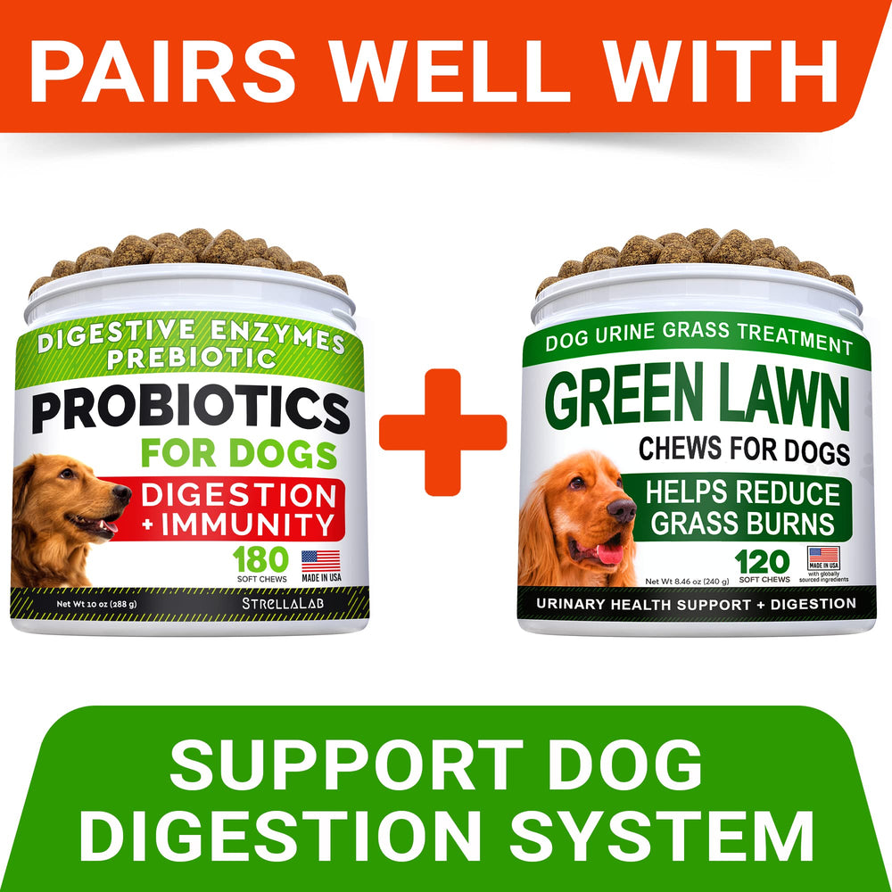 STRELLALAB chews enable dogs to enjoy outdoor play on lush grass