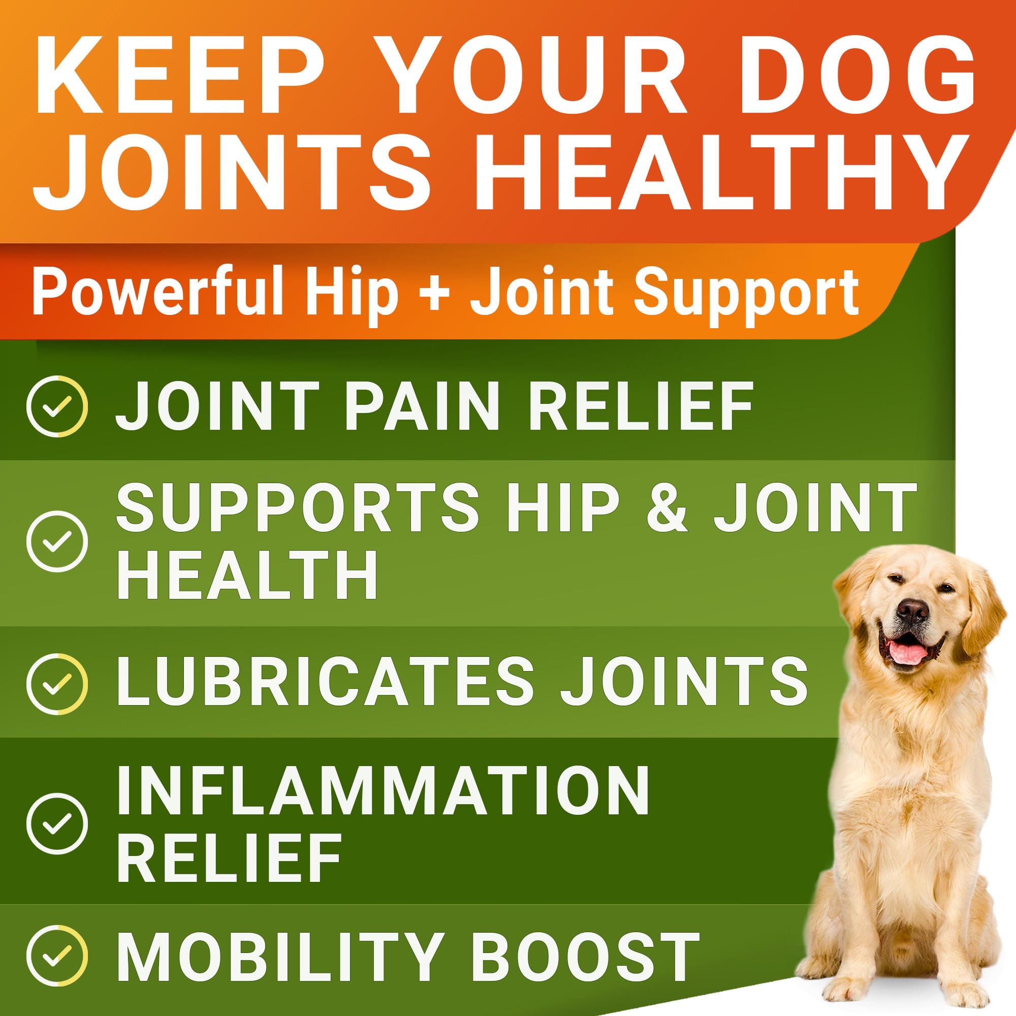 STRELLALAB Glucosamine dog treats bottle-front invites use for sustained joint health.