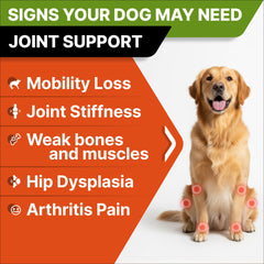 STRELLALAB Glucosamine dog treats with omega-3 oil image suggests anti-inflammatory support.