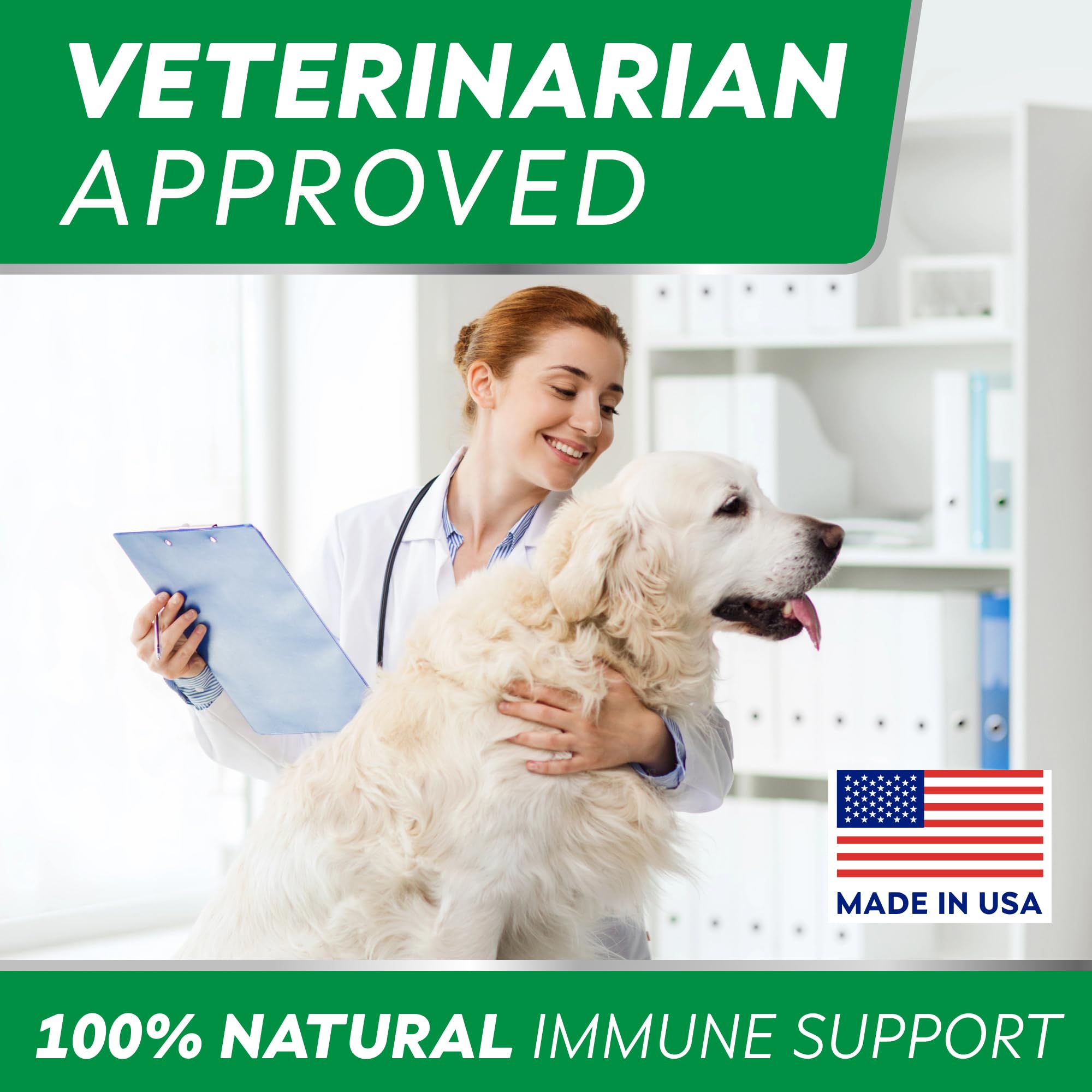 STRELLALAB dog happily chewing treat after dose.
