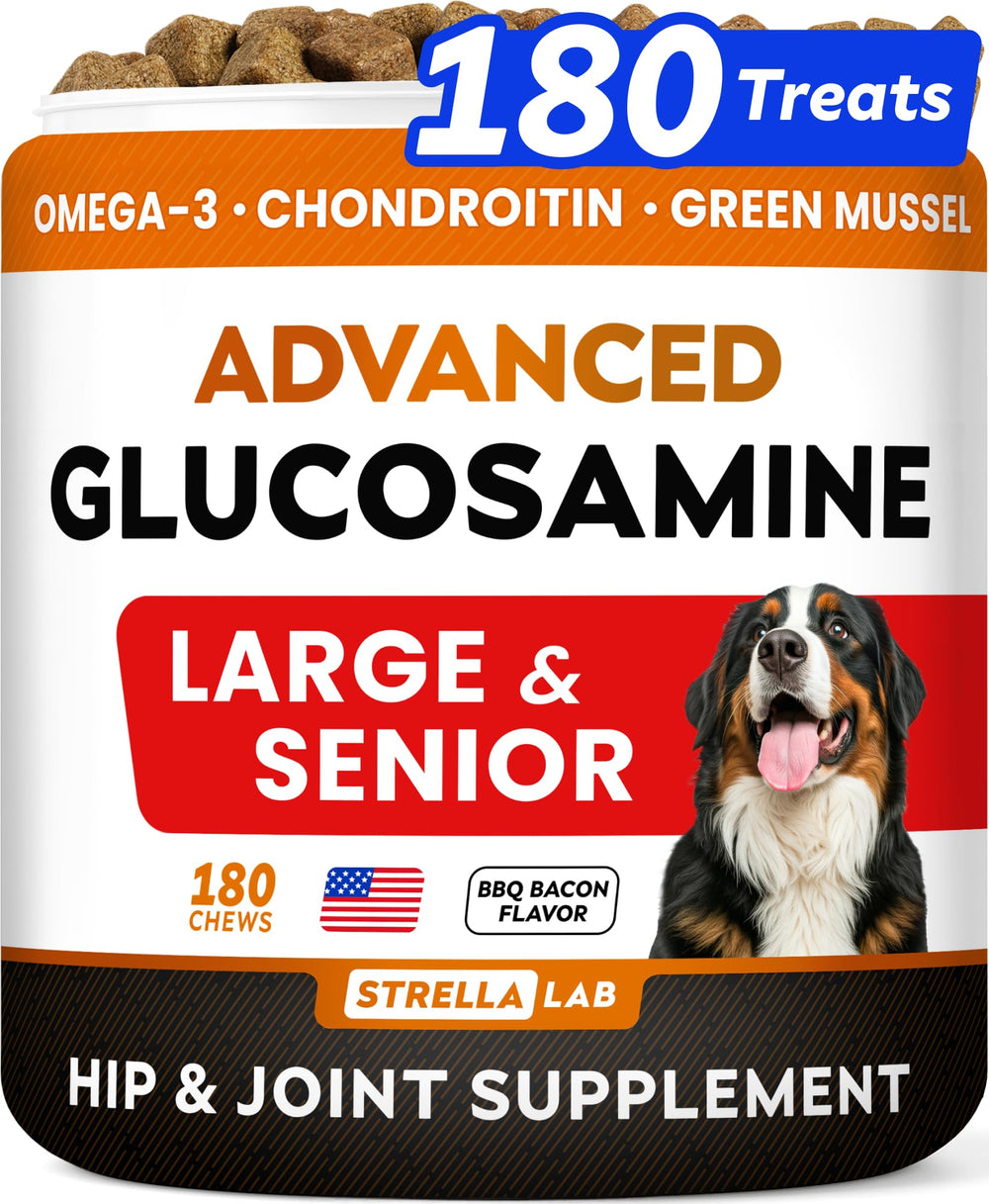 STRELLALAB dog joint supplement bottle front ready for daily use and easy dosing