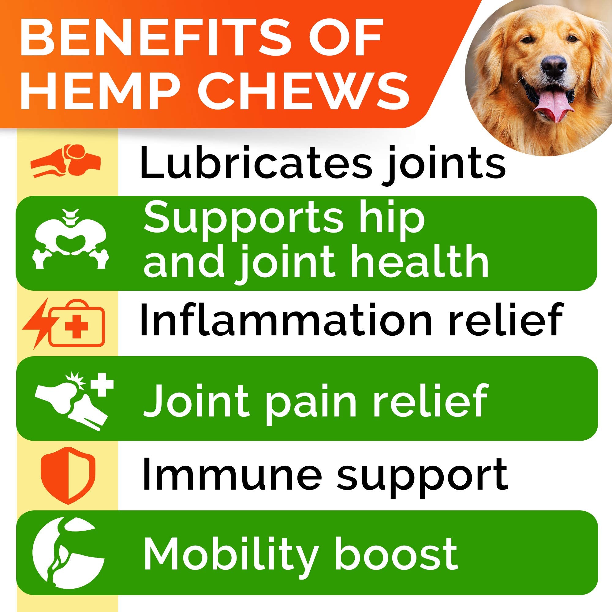 STRELLALAB dog joint supplement chews beside a leash, hinting at mobility support.