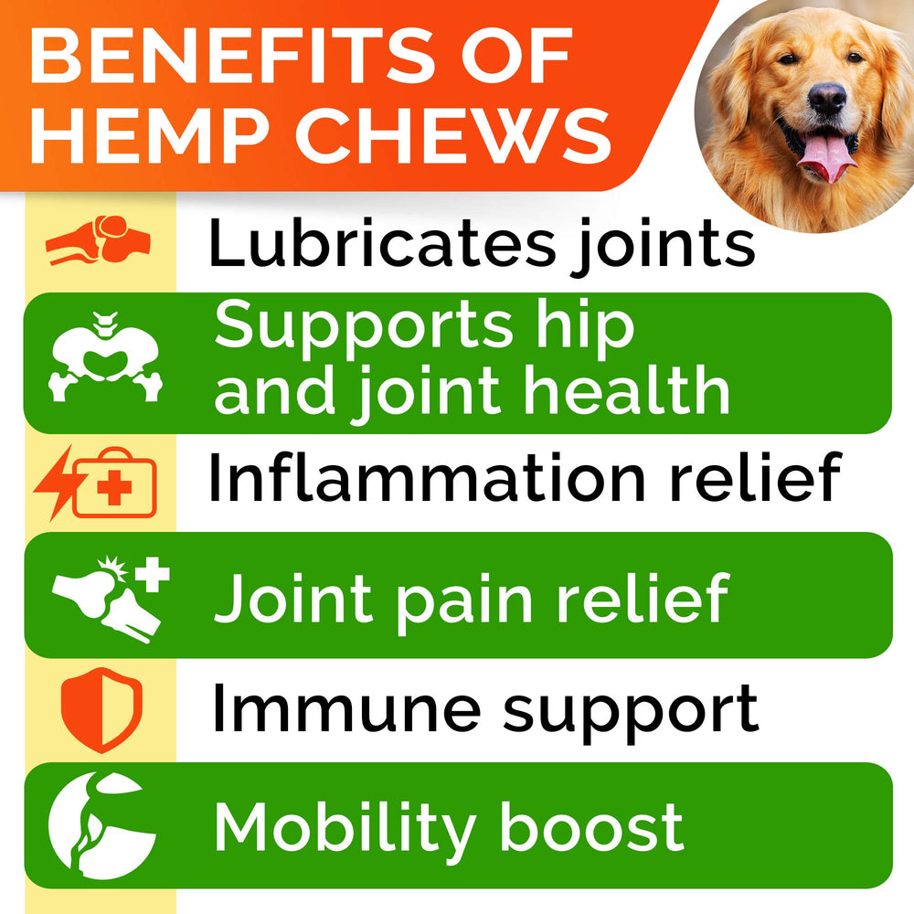 STRELLALAB dog joint supplement chews beside a leash, hinting at mobility support.