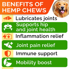 STRELLALAB dog joint supplement chews beside a leash, hinting at mobility support.