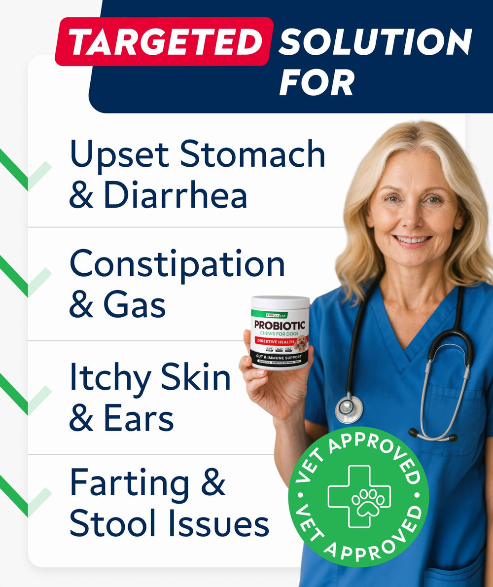 STRELLALAB Dog Probiotics Chews chicken-flavor close-up for daily gut health