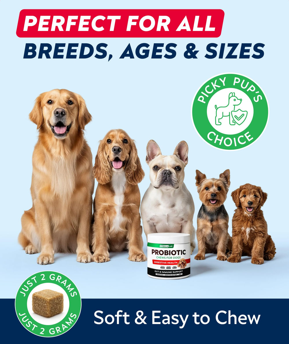 STRELLALAB Dog Probiotics Chews puppy-to-senior image emphasizing daily use