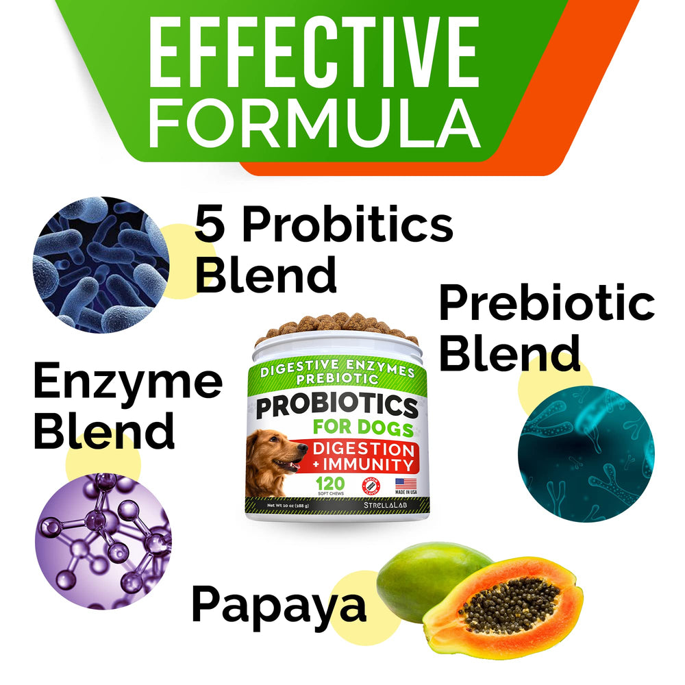 StrellaLab probiotic chews with prebiotics supporting gut health.