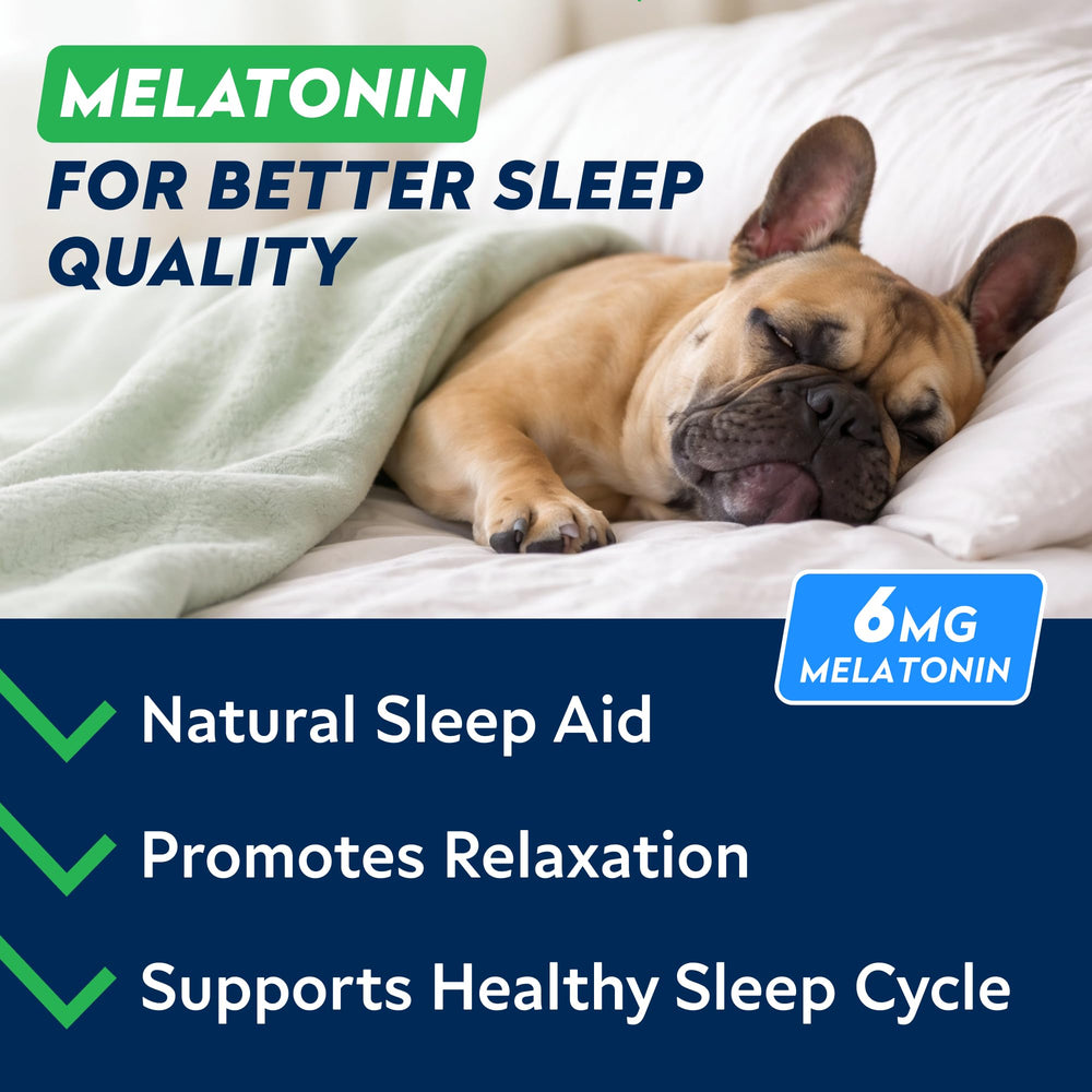 STRELLALAB dog sleep chews night aid supports restful nights.