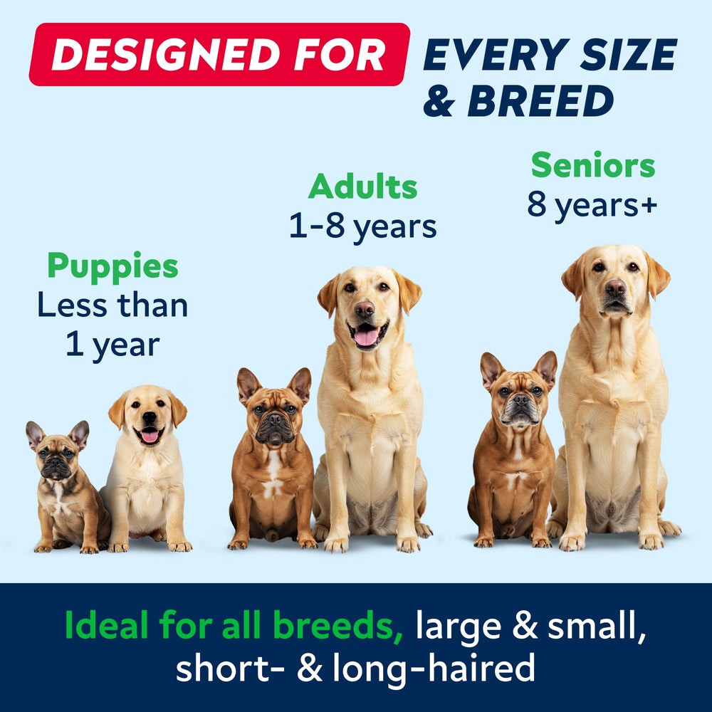 STRELLALAB Fish Oil with natural ingredients supports overall pet well-being.