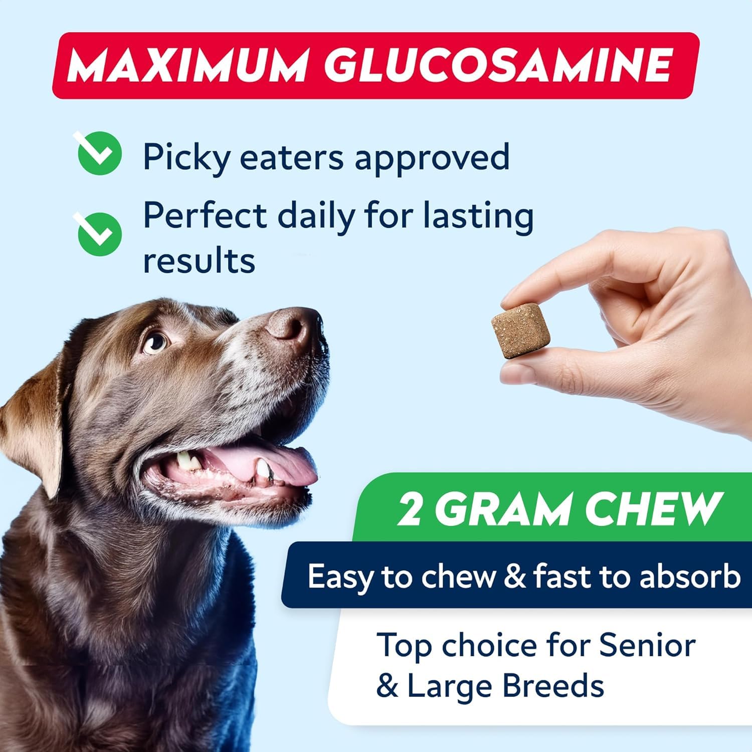 STRELLALAB glucosamine chondroitin MSM soft chews, easy chewable support