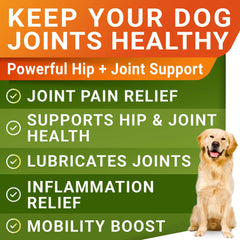 STRELLALAB glucosamine for dogs chews image highlighting soft, tasty bites