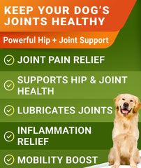 Hip joint chews for dogs showing a tasty, paw-friendly mobility option.