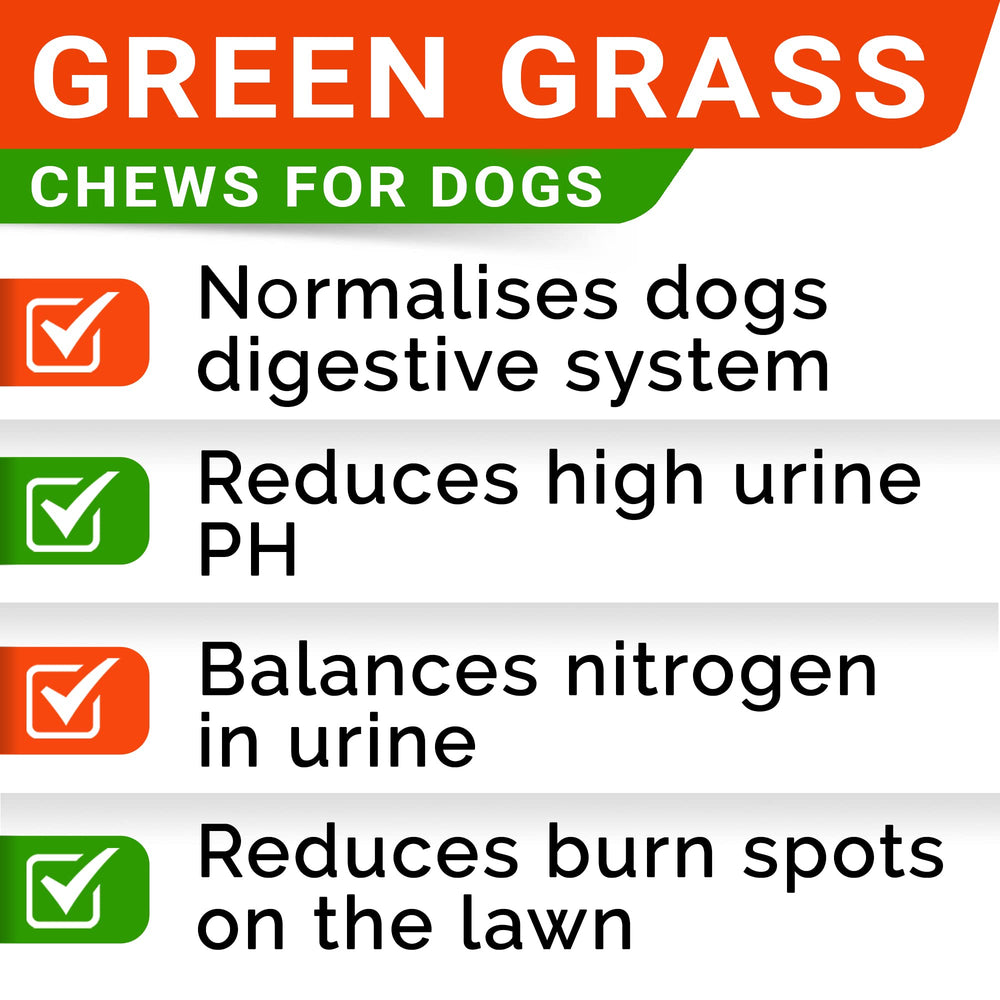 STRELLALAB Grass Burn Spot Chews in use with a happy dog and vibrant lawn