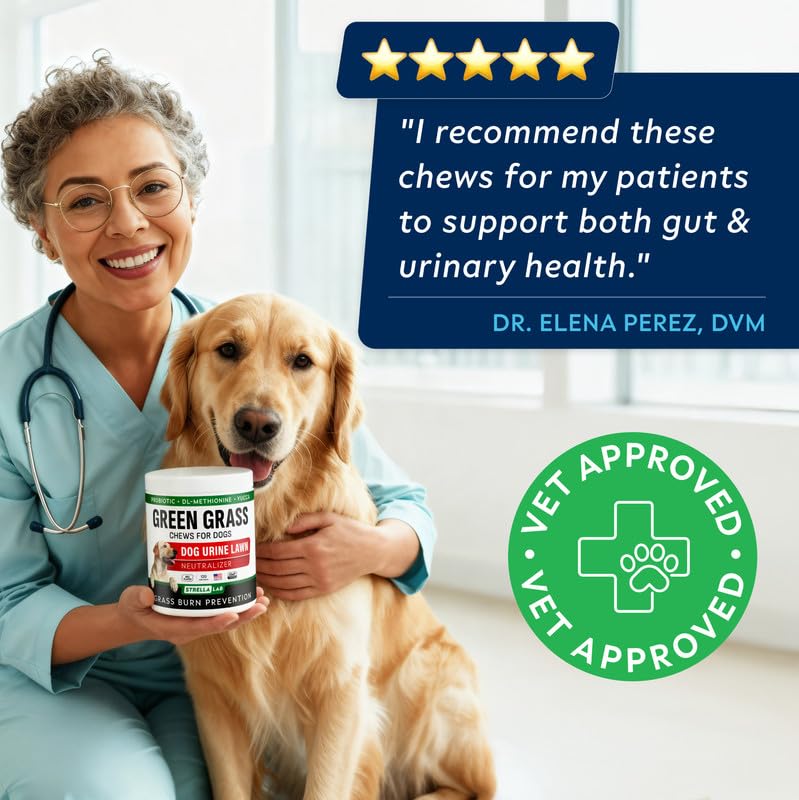 STRELLALAB chews made in USA for quality and safety.