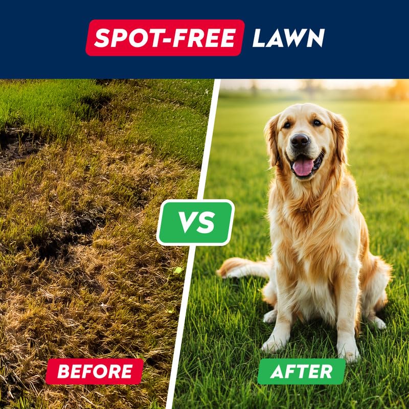 STRELLALAB Green Lawn Chews for dogs with probiotics support digestion and urinary balance.