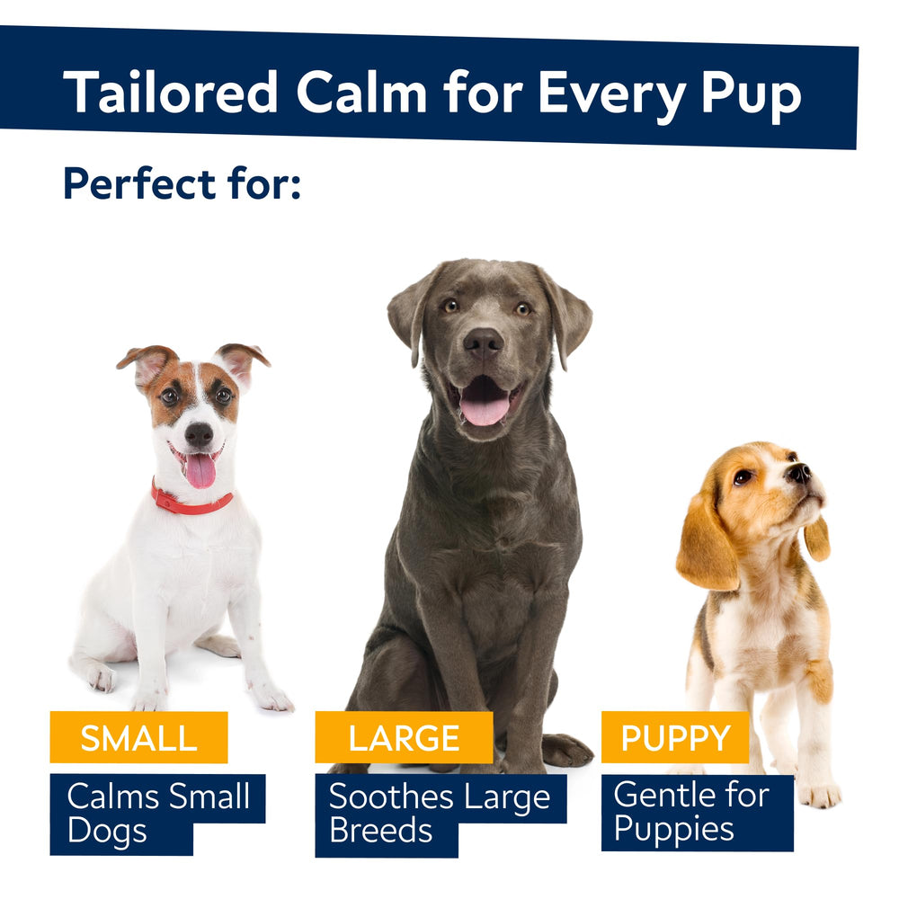 STRELLALAB Hemp Calming Chews for puppy to senior dogs supports restful evenings.