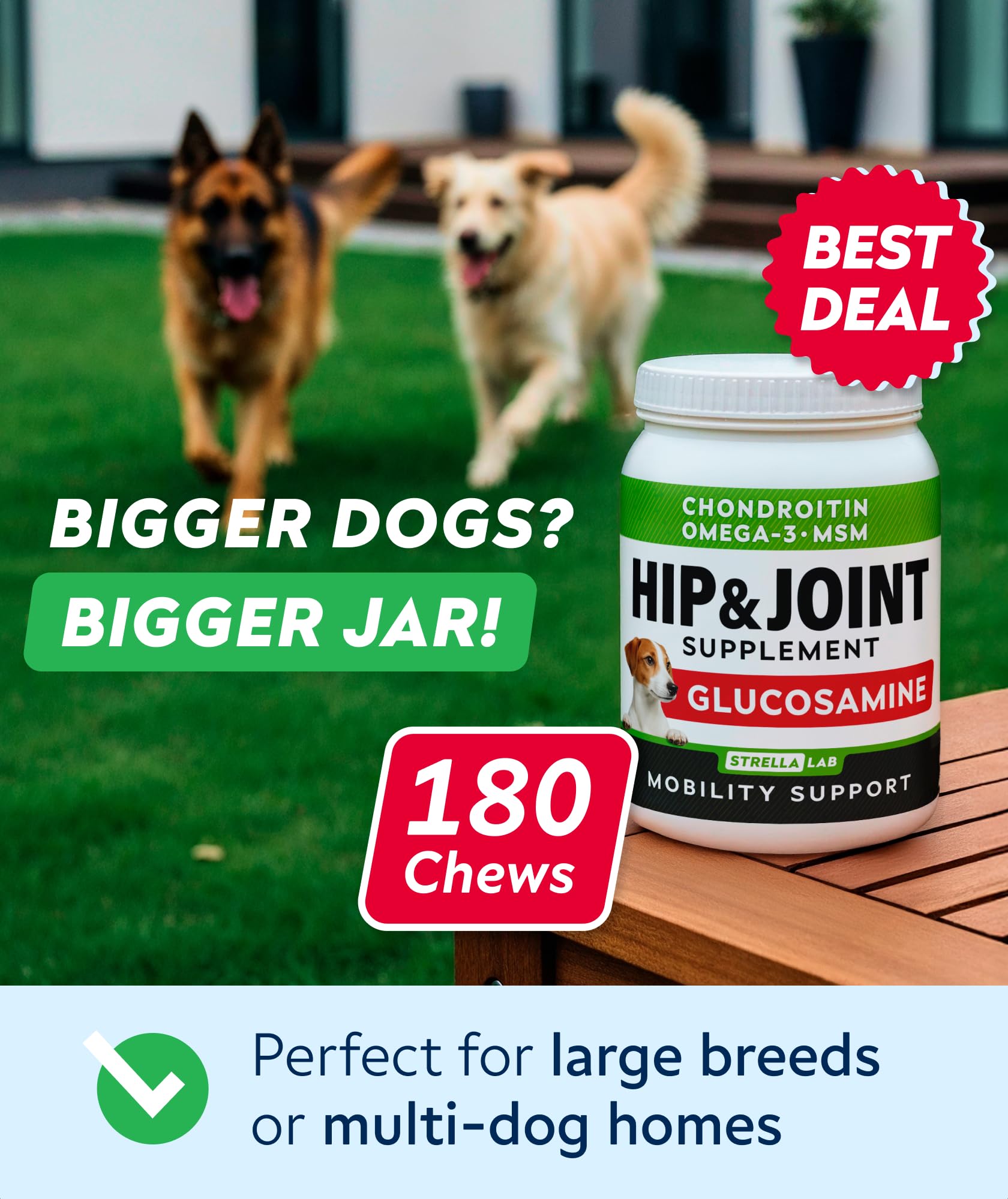 STRELLALAB hip joint chews pack—soft bites encourage daily activity.