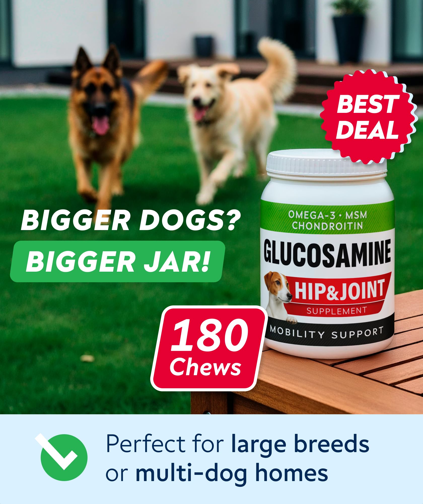 STRELLALAB hip and joint dog supplement bottle highlighting mobility support.